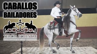 🏆 CONCURSO DE CABALLOS BAILADORES  TERCIA ECUESTRE Parte 1 [upl. by Niobe]