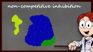 Enzyme Function and Inhibition [upl. by Winchester]