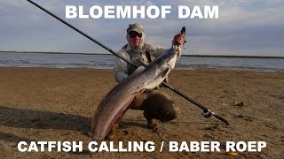 Bloemhof dam catfishbarbel calling baber roep [upl. by Neleag]