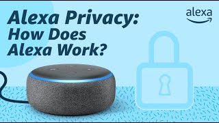 Alexa Privacy How Does Alexa Work [upl. by Norrat725]