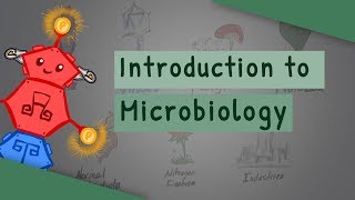 Introduction To Microbiology [upl. by Bopp780]