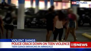 Armadale Brawl  9 News Perth [upl. by Yelnet702]