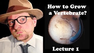 Lecture 1 How to Grow a Vertebrate [upl. by Nnaecarg]