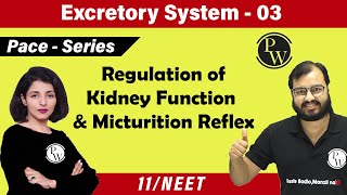 Excretory System 03  Regulation Of Kidney Function  Micturition Reflex  Class 11  NEET [upl. by Artined]