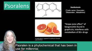 Plant Secondary Metabolites Phenolics [upl. by Mady944]