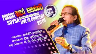 Adura Nasannata අදුර නසන්නට  Punsiri Soysa  Nohandan Landune Concert  2019 [upl. by Nnaillij258]