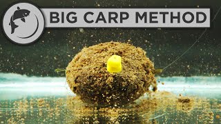 How To Fish The Method Feeder For BIG CARP [upl. by Avlasor215]