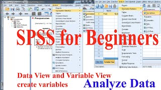 SPSS for Beginners [upl. by Gaidano2]