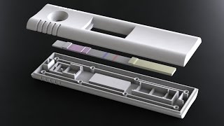 DCN Diagnostics Lateral Flow Assay Development [upl. by Anniahs892]