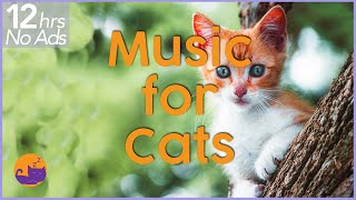 NO ADS 12 Hours of Extremely Relaxing Cat Music [upl. by Leventis]