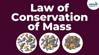 Law of Conservation of Mass  Dont Memorise [upl. by Cesaria615]