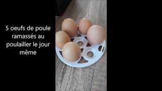 comment utiliser une couveuse œufs de poule [upl. by Shauna]