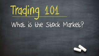 Trading 101 What is the Stock Market [upl. by Afatsum622]