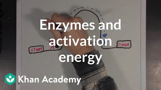 Enzymes and activation energy  Biomolecules  MCAT  Khan Academy [upl. by Ydniahs]