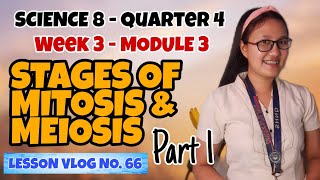 Stages of Mitosis and Meiosis Module 3 Part 1  SCIENCE 8 [upl. by Andras]