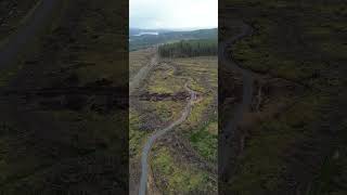 Kielder Forest Bike Hire [upl. by Tatianas]