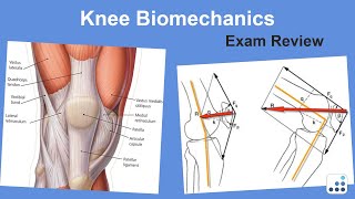 Knee Biomechanics Exam Review  Mark Pagnano MD [upl. by Zaremski389]