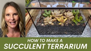 How to make a succulent terrarium by Ferrisland with Moody Blooms [upl. by Amalie]