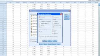 SPSS Tutorials Cross Tabulation [upl. by Eanod922]