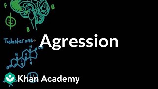 Aggression  Individuals and Society  MCAT  Khan Academy [upl. by Glynias]