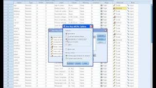 SPSS Tutorials Anova Test [upl. by Edialeda]