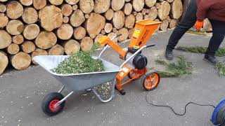 Compact 4HP Electric Wood Chipper  Garden Shredder FM4DDE [upl. by Apilef719]