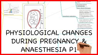 Hematology Overview for Nursing Students [upl. by Pompei]