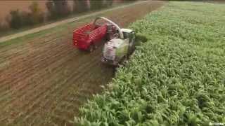 Réalisation Films Vidéo produit  Récolte Sorgho ensilage BMR de Semental [upl. by Ralyat89]