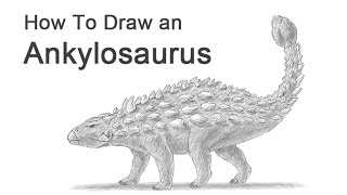 How to Draw an Ankylosaurus [upl. by Ardni]