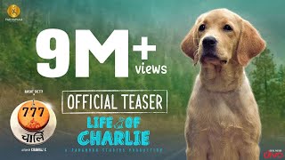 777 Charlie Official Teaser Hindi  Rakshit Shetty  Kiranraj K  Nobin Paul  Paramvah Studios [upl. by Lauzon]