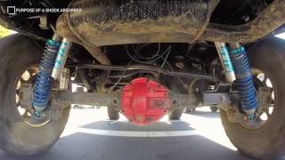 Suspension Components  Shock Absorbers [upl. by Sonafets]