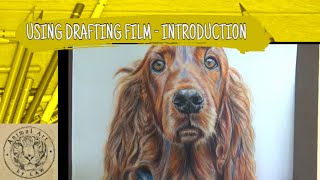 Introduction to using Drafting Film [upl. by Medina]