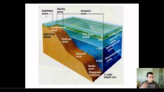 Ocean Life Part 2 Oceanic Environment Zones Review [upl. by Enyledam]