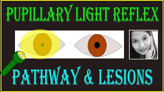 How to measure pupillary distance PD [upl. by Adlaremse494]