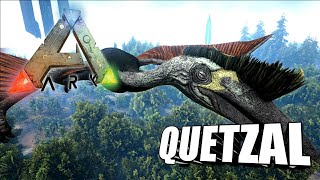 Taming A Quetzal  Ark Survival Evolved  The Island [upl. by Alyose]