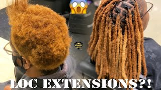 Loc Extension Tutorial Crochet Method [upl. by Arnoldo]