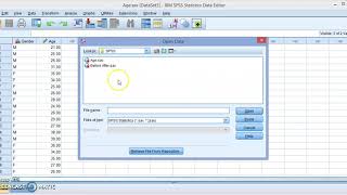 Getting Started with IBM SPSS [upl. by Bose]