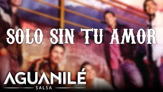 Solo Sin Tu Amor Aguanilé Salsa  Audio [upl. by Myrvyn]