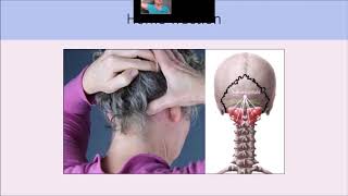 Common Headache Back Head Pain And Neck Pain Techniques [upl. by Lrub427]