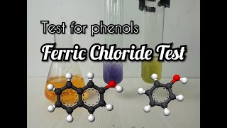 Ferric Chloride test for Phenols [upl. by Jaine]