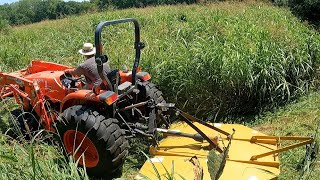 GRASS SO OVERGROWN I Couldnt Use A Regular LAWN MOWER [upl. by Enaht]