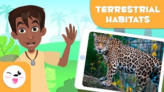 Explore Terrestrial Habitats  Types of Habitats for Children [upl. by Aronel]