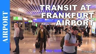 TRANSIT WALK AT FRANKFURT Airport FRA Terminal 1  Connection Flight Transfer Arriving amp Departing [upl. by Wallach896]