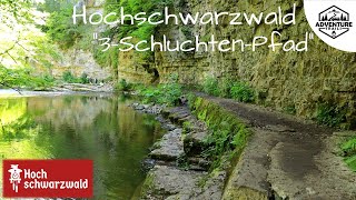 Hochschwarzwald 3 Schluchten Pfad  Wanderung  79843 Löffingen [upl. by Assilam447]