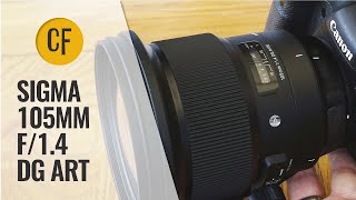 Sigma 24mm f14 ART lens review with samples Fullframe and APSC [upl. by Cirederf184]