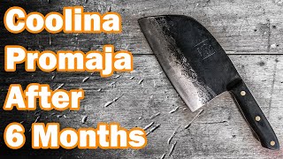 TRUTH of Serbian Chef Knife After 6 Months [upl. by Colan560]