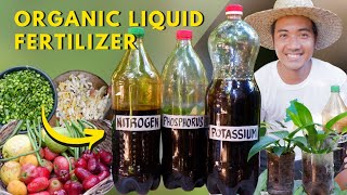 Creating Fermented Complete Organic Fertilizer  NitrogenPhosphorusPotassium  Super Easy [upl. by Swartz38]