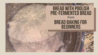 Bread with Poolish  Bread Baking for Beginners [upl. by Gosser]