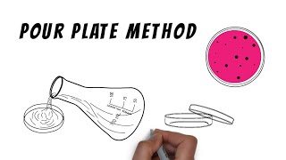 Isolation techniques  Pour plate method [upl. by Ahsieka984]