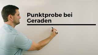 Punktprobe bei Geraden in der Vektorgeometrie  Mathe by Daniel Jung [upl. by Ettelliw]